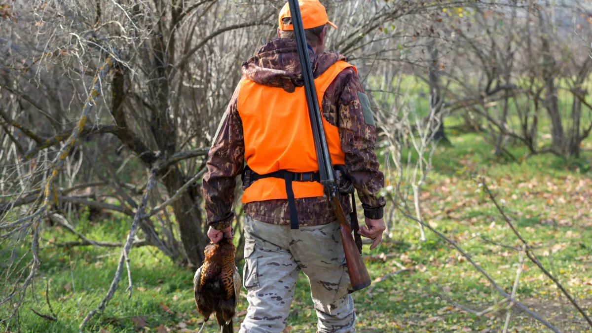 Pourquoi la veste de traque orange fluo est indispensable en battue